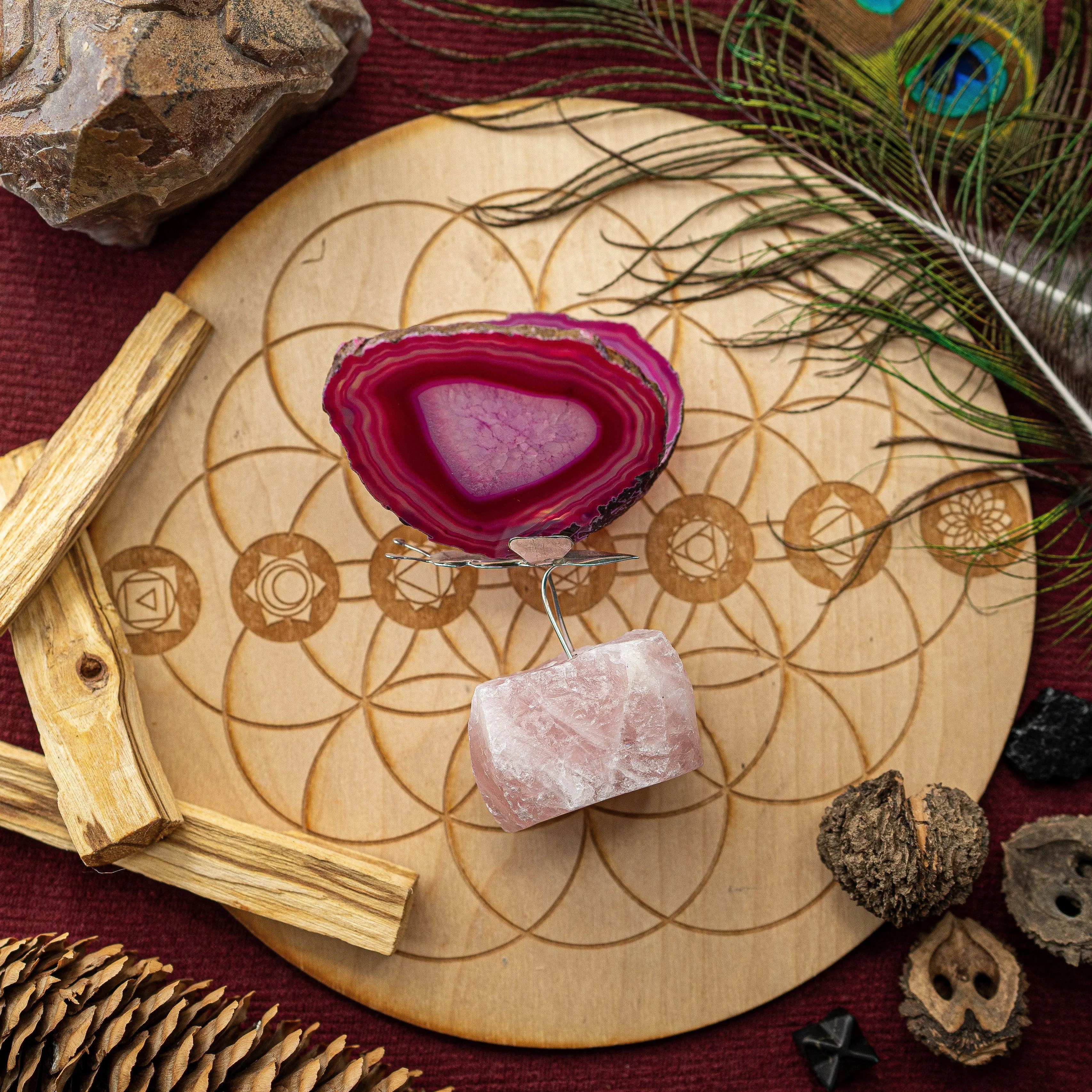 Agate Slice Butterfly Display and Rough Stone Setting ~ Spring Vibes and Multiple Colors