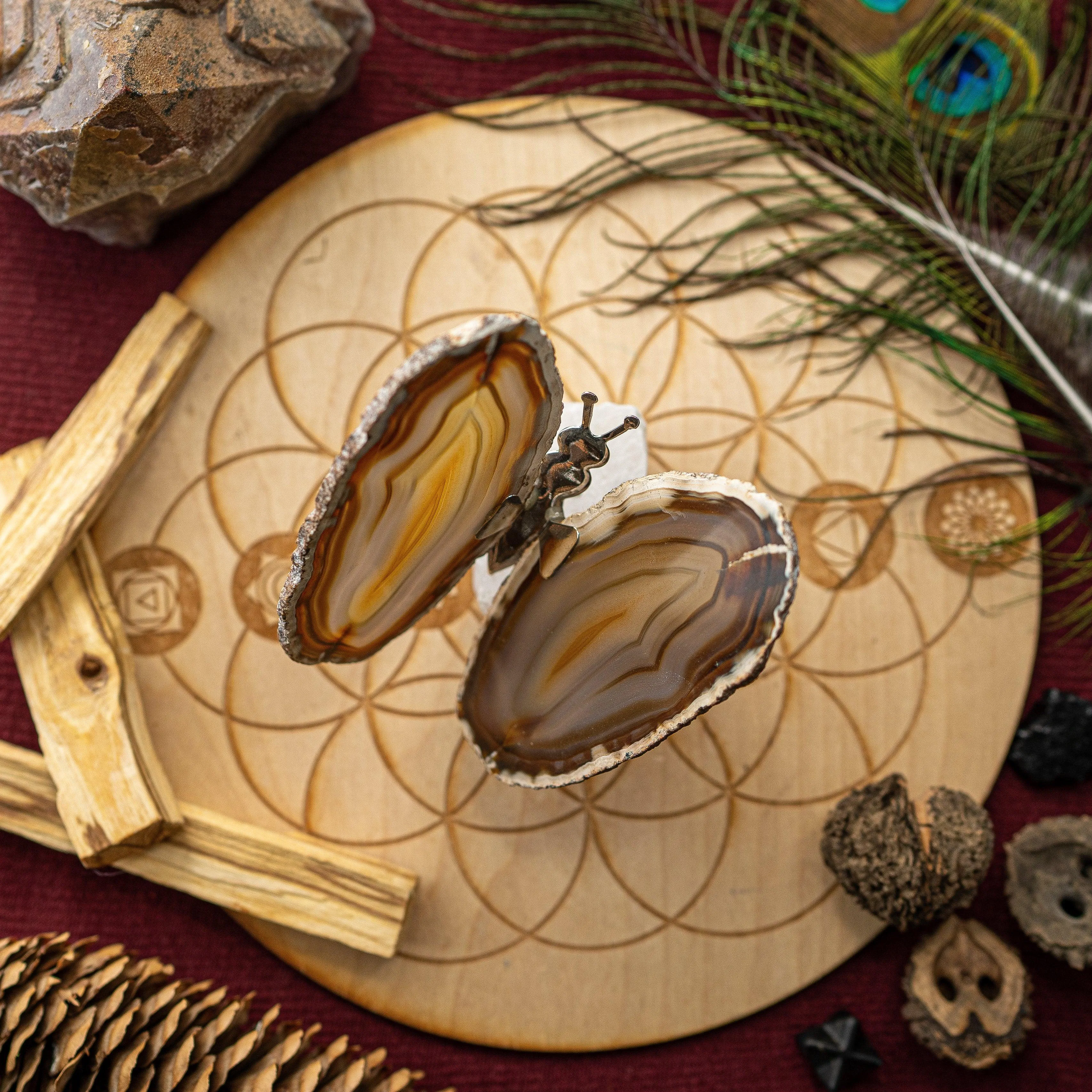 Agate Slice Butterfly Display and Rough Stone Setting ~ Spring Vibes and Multiple Colors