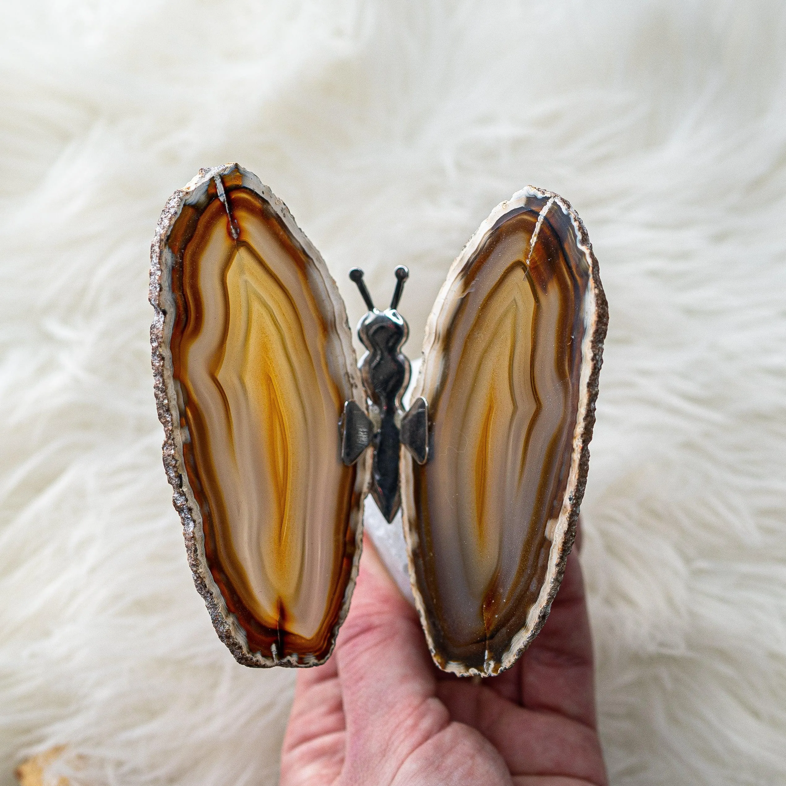 Agate Slice Butterfly Display and Rough Stone Setting ~ Spring Vibes and Multiple Colors