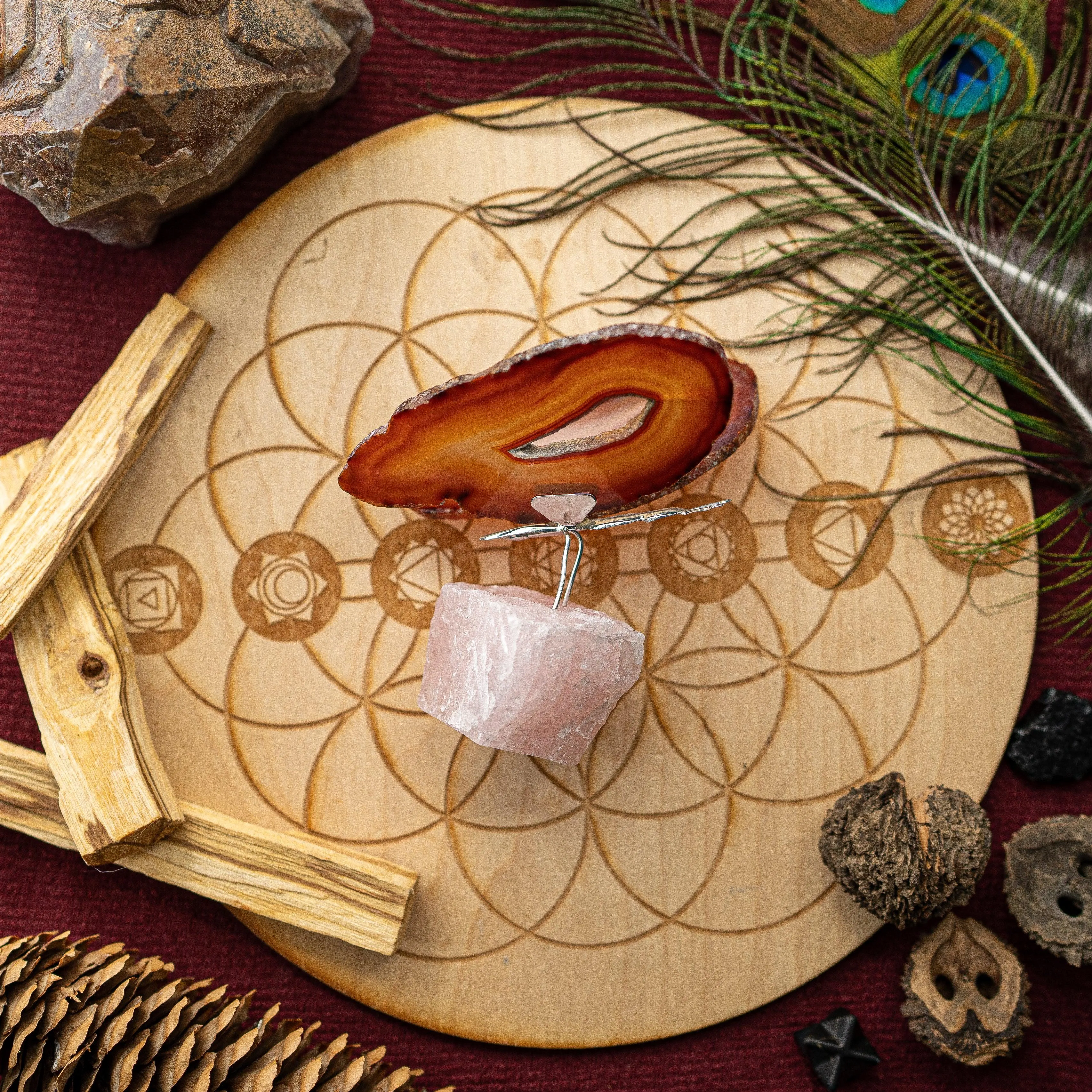 Agate Slice Butterfly Display and Rough Stone Setting ~ Spring Vibes and Multiple Colors