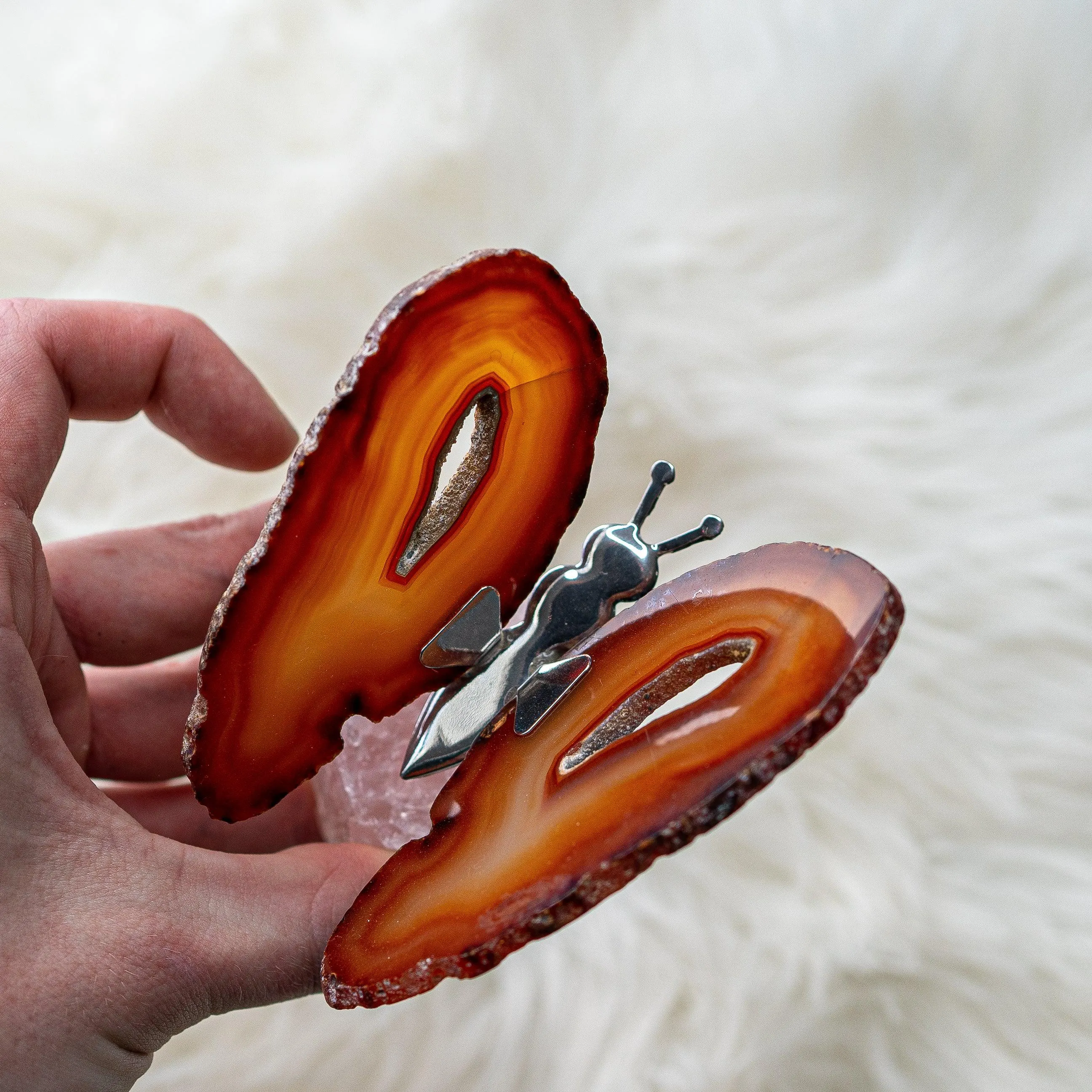 Agate Slice Butterfly Display and Rough Stone Setting ~ Spring Vibes and Multiple Colors