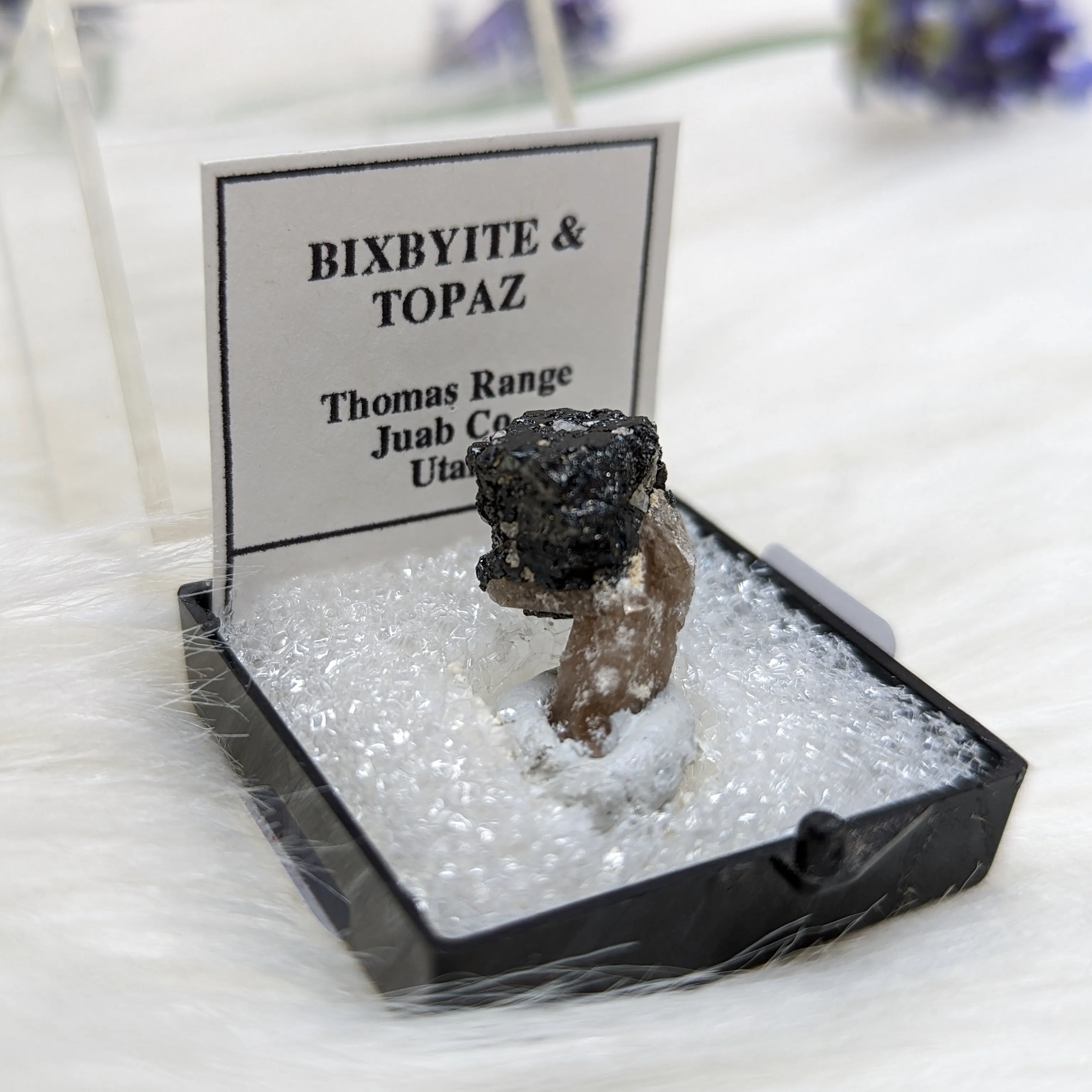 Amazing Golden Topaz & Bixbyite In Collectors Box