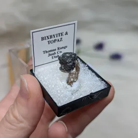 Amazing Golden Topaz & Bixbyite In Collectors Box