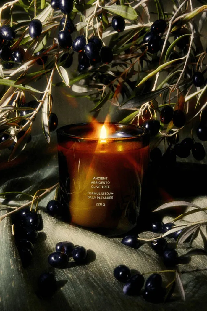 ANCIENT AGRIGENTO OLIVE TREE CANDLE