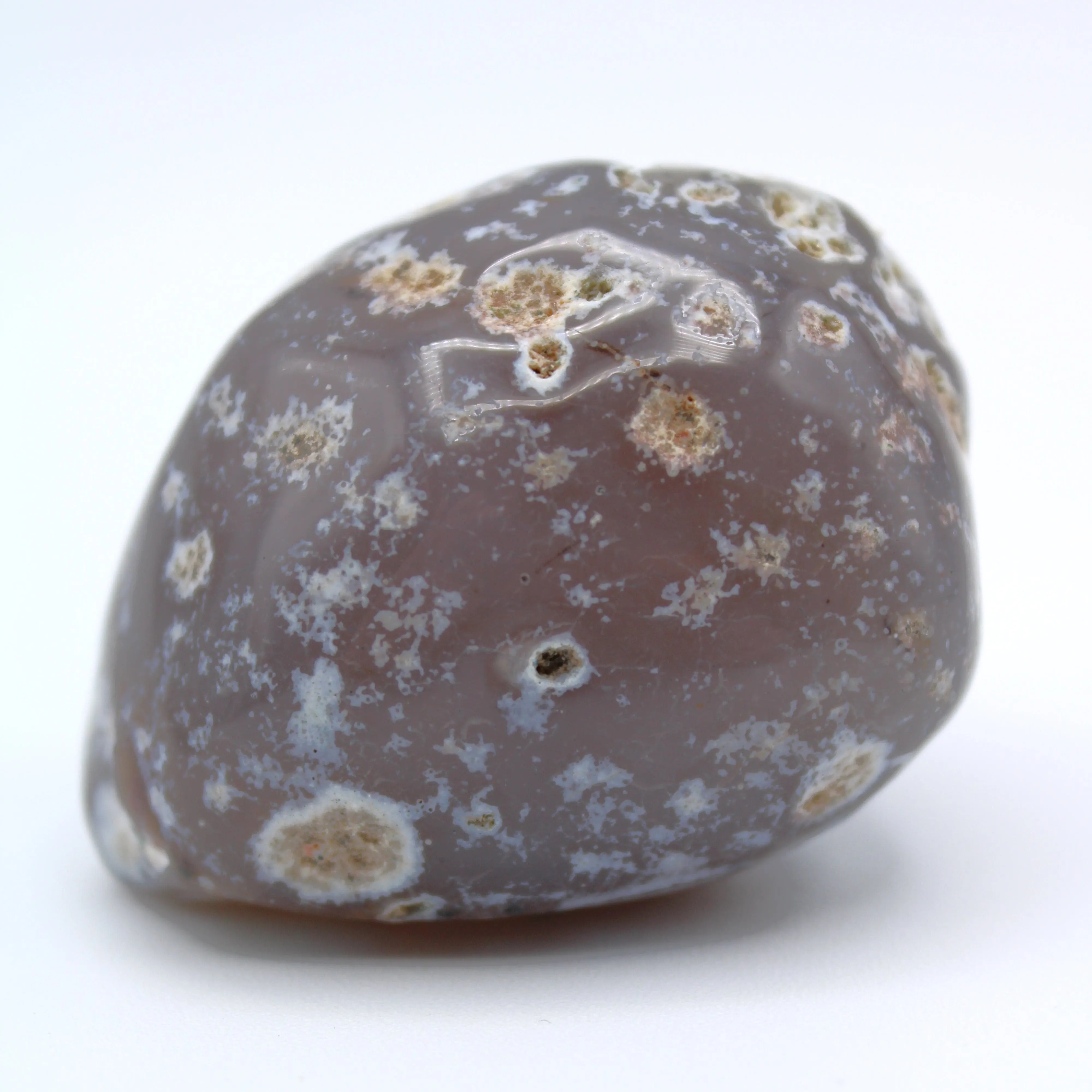 Enhydro Occo Agate Geod