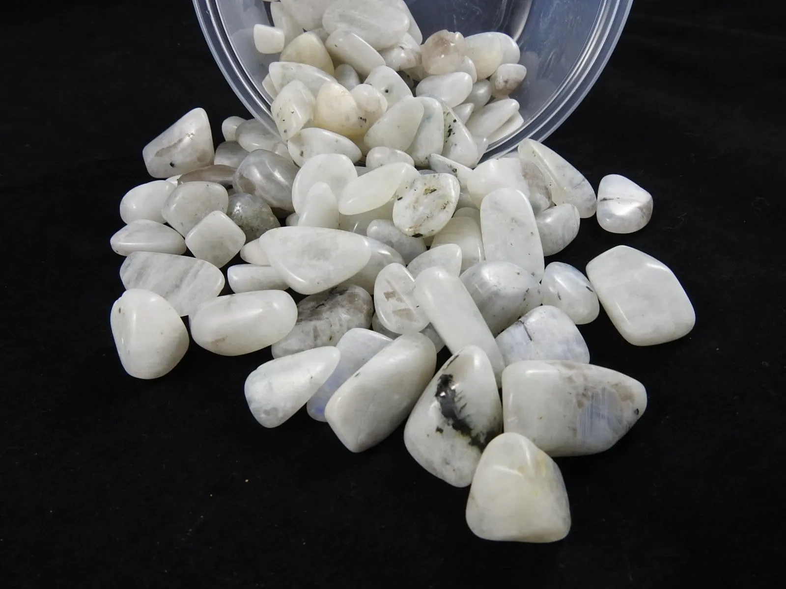 Rainbow Moonstone (1 lb portion)