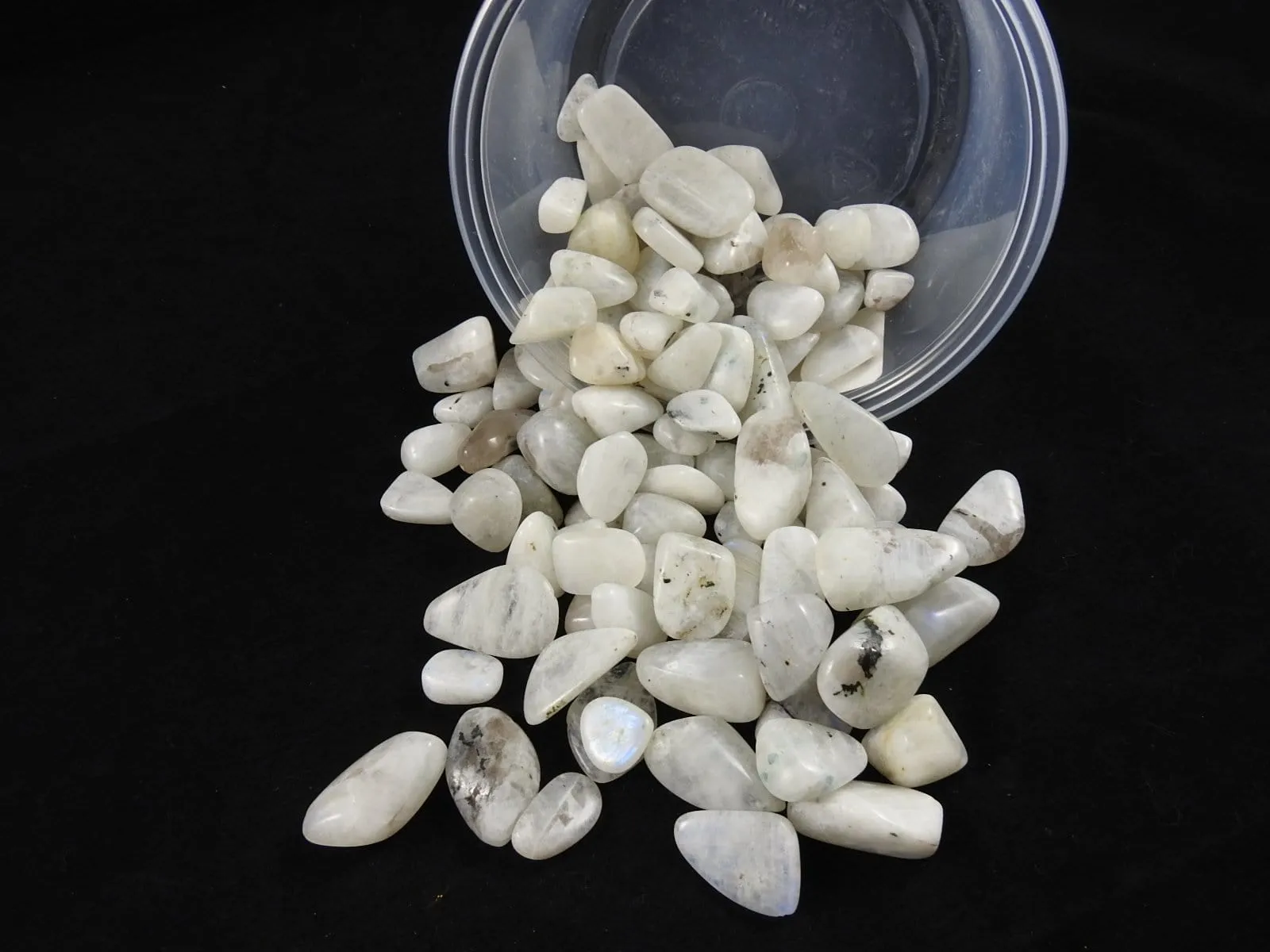 Rainbow Moonstone (1 lb portion)