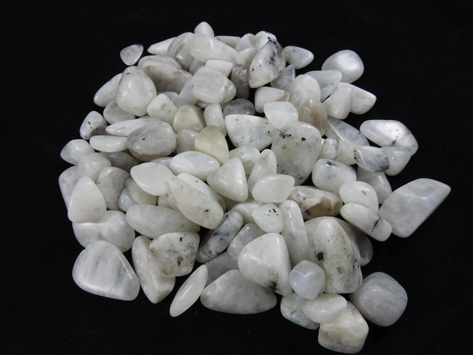 Rainbow Moonstone (1 lb portion)