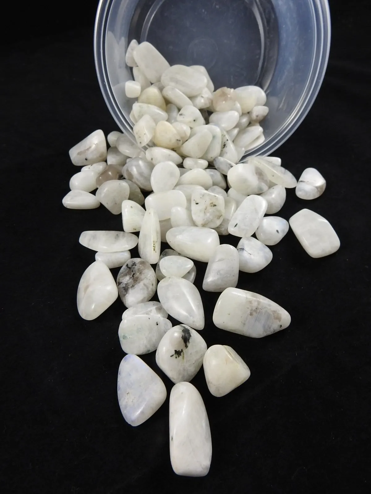 Rainbow Moonstone (1 lb portion)